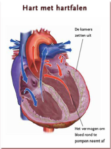 Hartfalen reactivatie